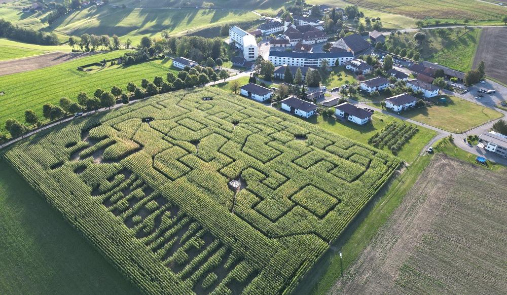 Frienisberger Maislabyrinth 2023 - schöne Erinnerung